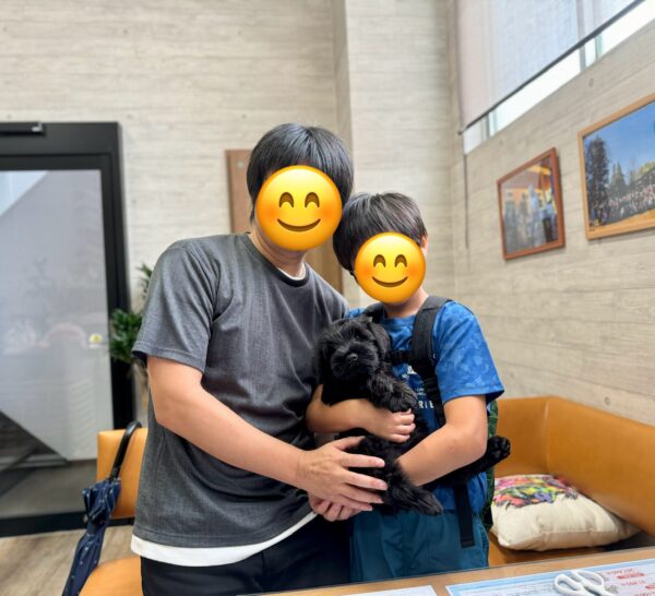 巣立って行ったステラっ子サムネイル
