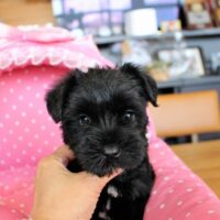 寿真・１ちゃん