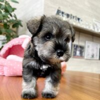 みはなー２－５