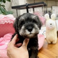 らみー１－４