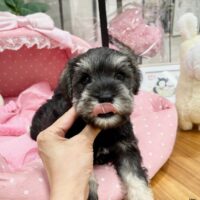 らみー１－５