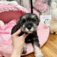 らみー１－８