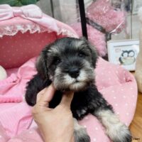 らみー１－７