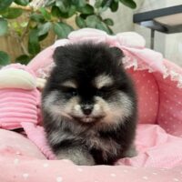 まかー１－４