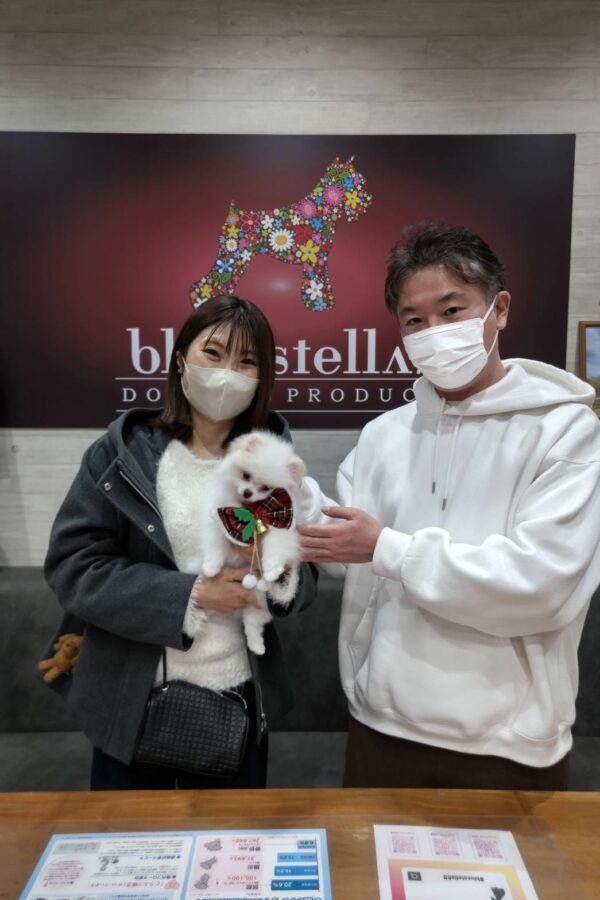 巣立って行ったステラっ子サムネイル
