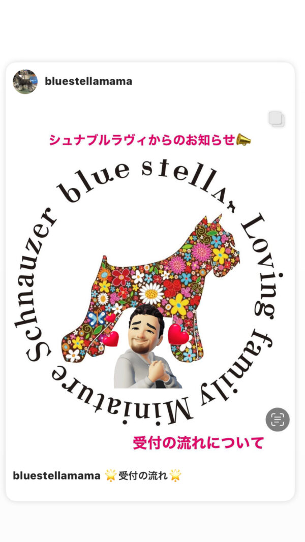 しゅなぶる当日の流れサムネイル