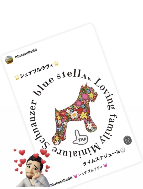 しゅなぶるスケジュールサムネイル