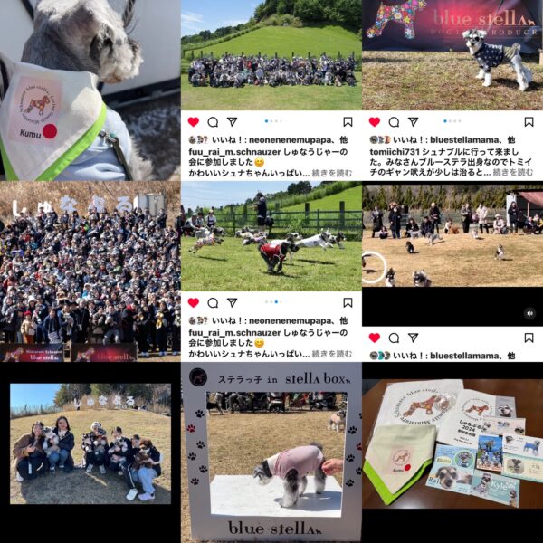 instagram掲載よりブルーステラ愛サムネイル
