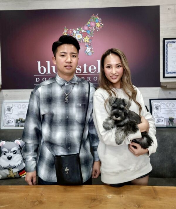 巣立って行ったステラっ子サムネイル