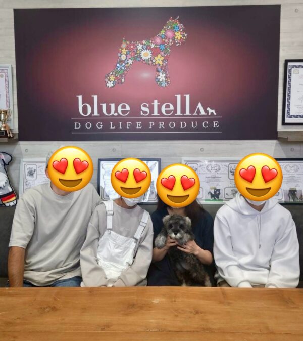 巣立って行ったステラっ子サムネイル