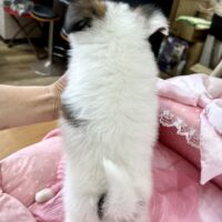 ゆかー４－５