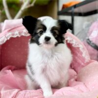 ゆかー１－７