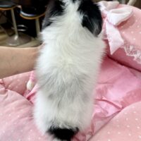 ゆかー３－５