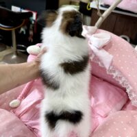 ゆかー１－５