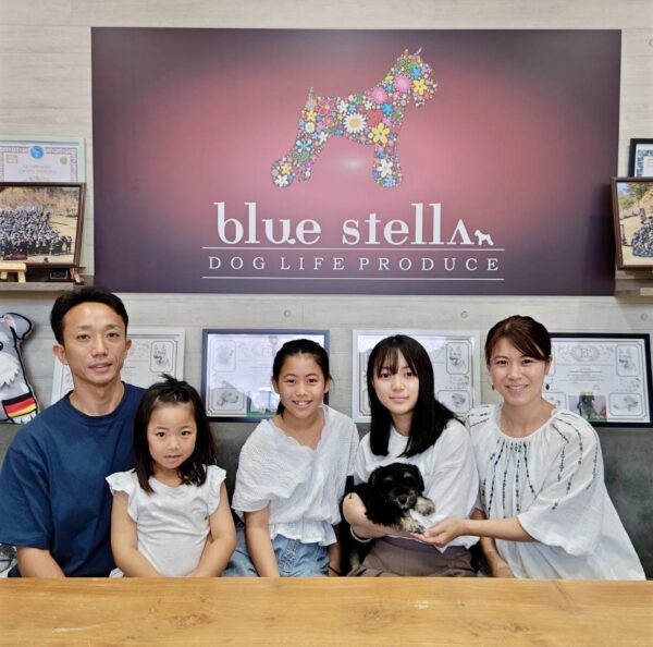 巣立って行ったステラっ子サムネイル
