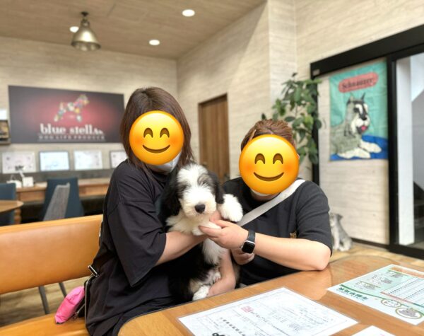 巣立って行ったステラっ子サムネイル