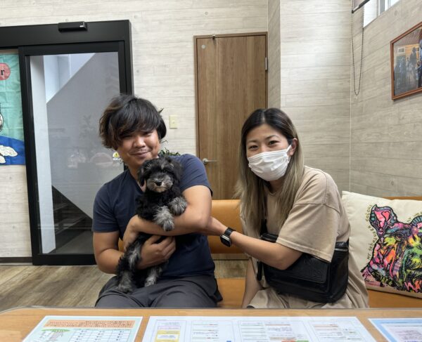 巣立って行ったステラっ子サムネイル