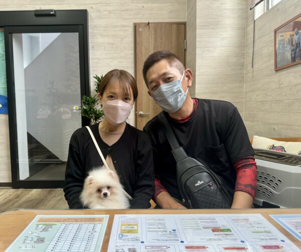 巣立って行ったステラっ子サムネイル