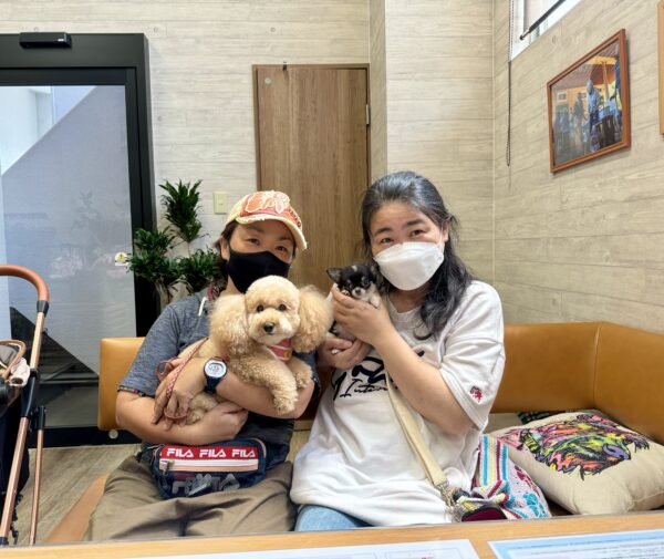 巣立って行ったステラっ子サムネイル