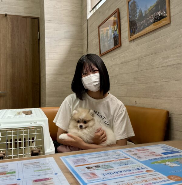 巣立って行ったステラっ子サムネイル