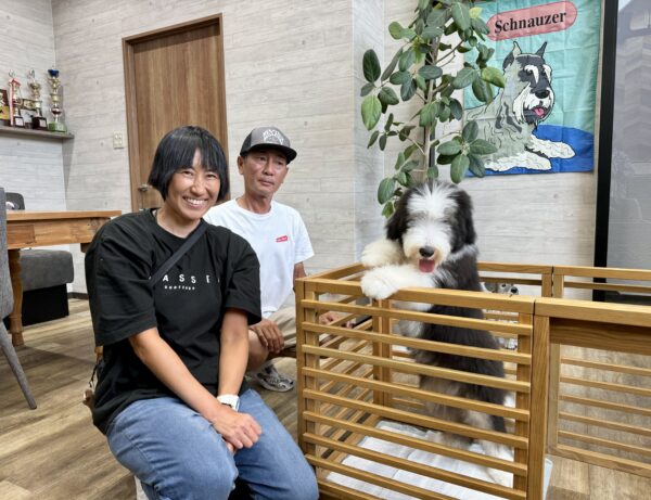 巣立って行ったステラっ子サムネイル
