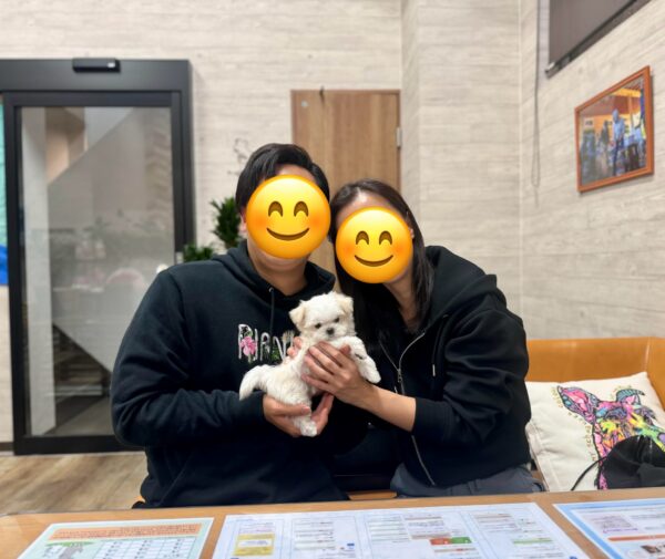 巣立って行ったステラっ子サムネイル
