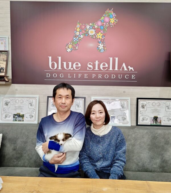 巣立って行ったステラっ子サムネイル