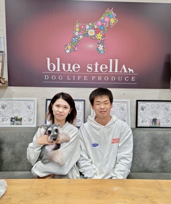 巣立って行ったステラっ子サムネイル