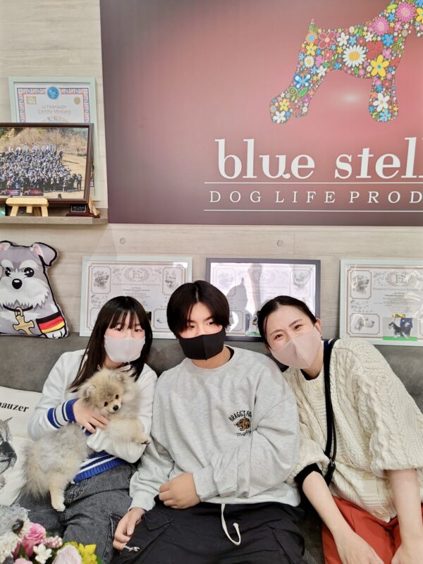 巣立って行ったステラっ子サムネイル
