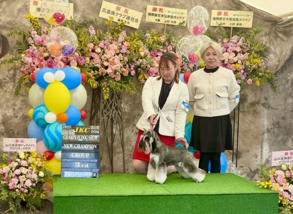 アオ＆風雅がニューチャンピオンに！サムネイル