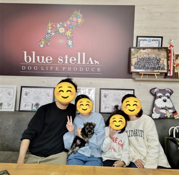 巣立って行ったステラっ子サムネイル