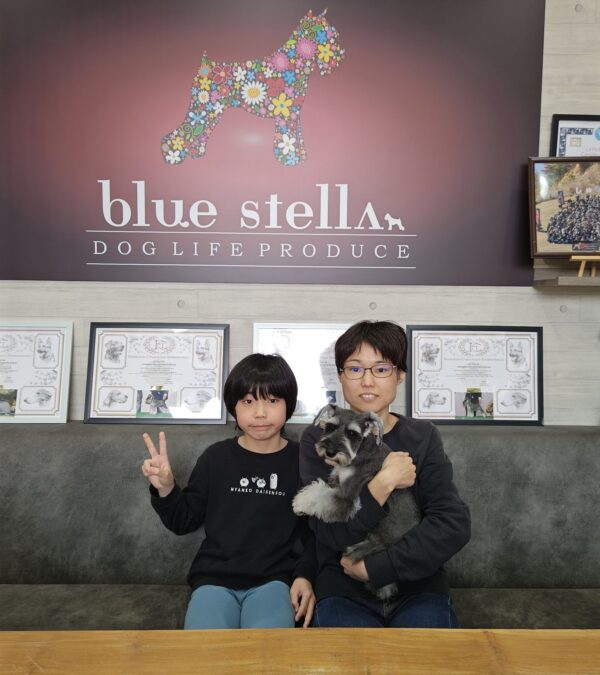巣立って行ったステラっ子サムネイル