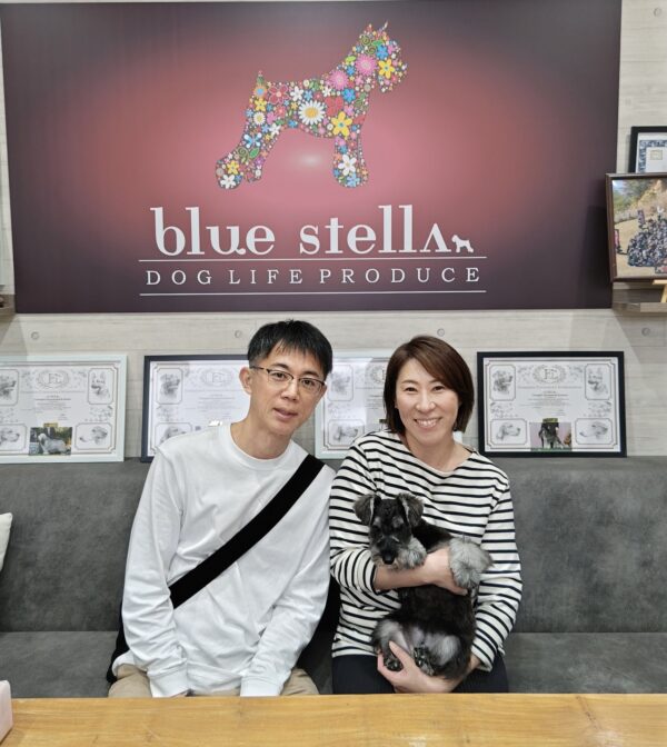 巣立って行ったステラっ子サムネイル