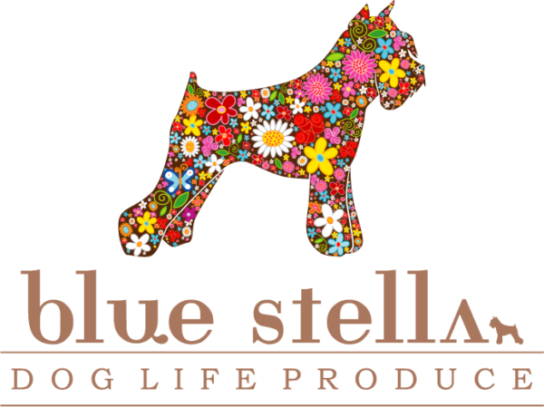 stella box  ご利用規約サムネイル