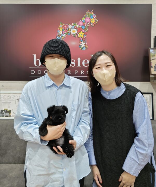 巣立って行ったステラっ子サムネイル
