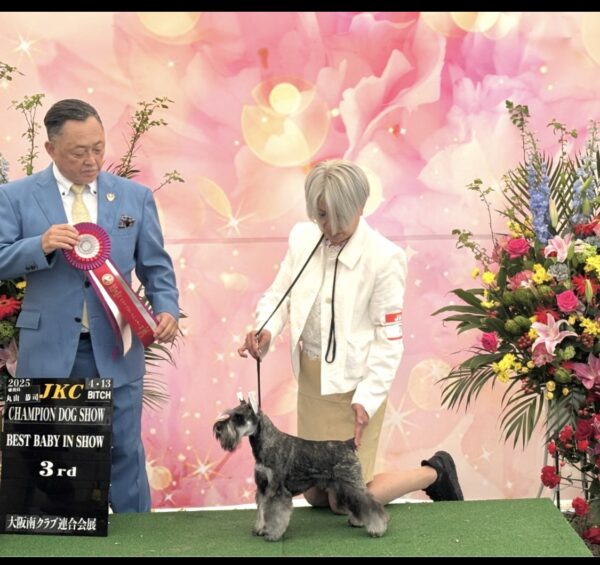 いろはサムネイル