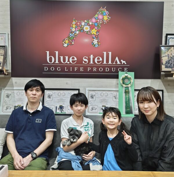 巣立って行ったステラっ子サムネイル