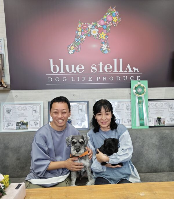 巣立って行ったステラっ子サムネイル